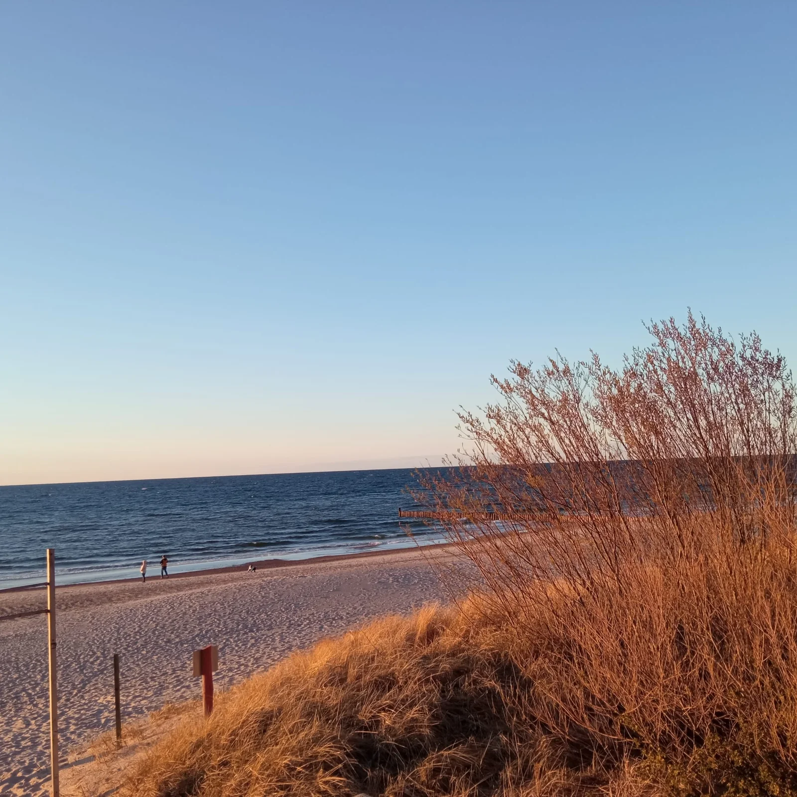 Plaża w Sianożętach